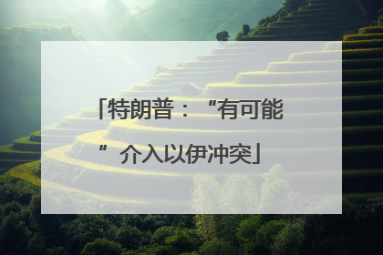 特朗普：“有可能”介入以伊冲突