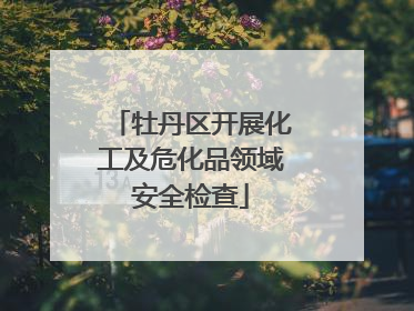 牡丹区开展化工及危化品领域安全检查