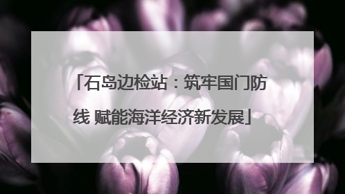 石岛边检站：筑牢国门防线 赋能海洋经济新发展