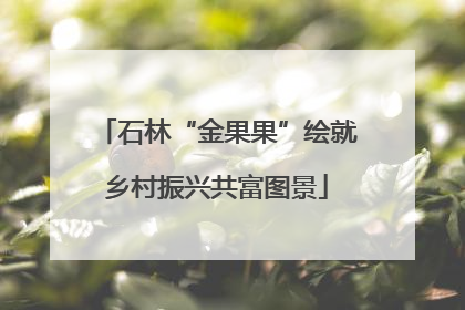 石林“金果果”绘就乡村振兴共富图景