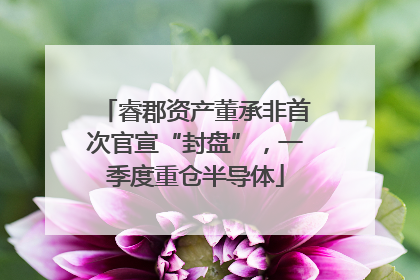 睿郡资产董承非首次官宣“封盘”，一季度重仓半导体