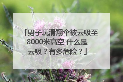 男子玩滑翔伞被云吸至8000米高空 什么是云吸？有多危险？