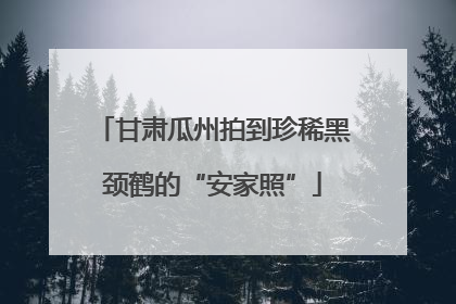 甘肃瓜州拍到珍稀黑颈鹤的“安家照”