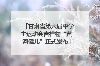 甘肃省第六届中学生运动会吉祥物“黄河健儿”正式发布