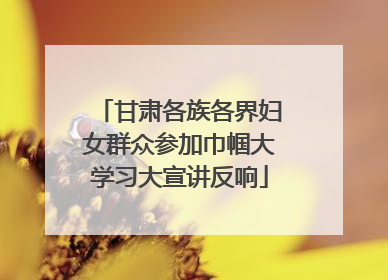 甘肃各族各界妇女群众参加巾帼大学习大宣讲反响