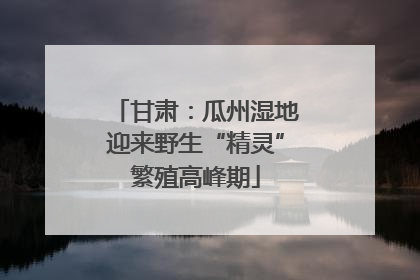 甘肃：瓜州湿地迎来野生“精灵”繁殖高峰期