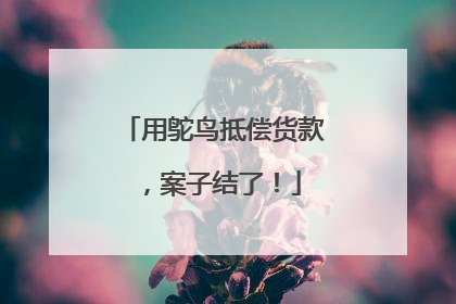 用鸵鸟抵偿货款，案子结了！