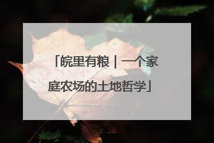 皖里有粮｜一个家庭农场的土地哲学