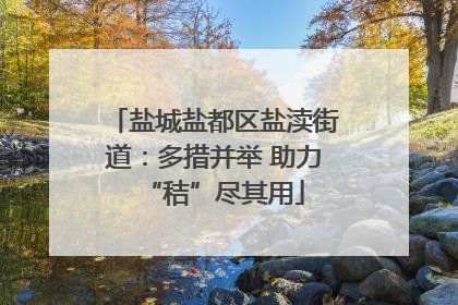 盐城盐都区盐渎街道：多措并举 助力“秸”尽其用