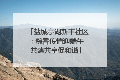 盐城亭湖新丰社区：粽香传情迎端午 共建共享促和谐