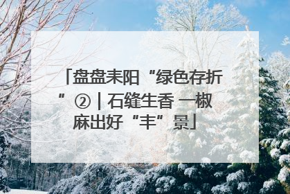 盘盘耒阳“绿色存折”②｜石缝生香 一椒麻出好“丰”景