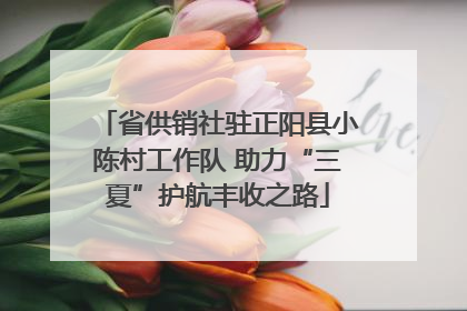 省供销社驻正阳县小陈村工作队 助力“三夏”护航丰收之路