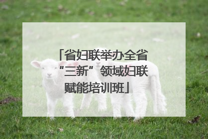 省妇联举办全省“三新”领域妇联赋能培训班