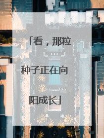 看，那粒种子正在向阳成长