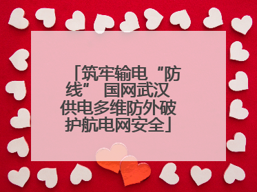 筑牢输电“防线” 国网武汉供电多维防外破护航电网安全