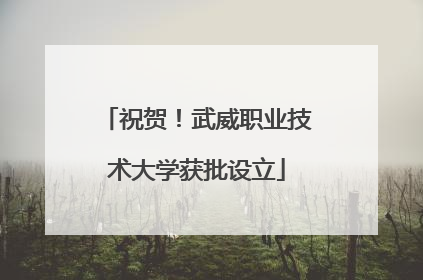 祝贺！武威职业技术大学获批设立