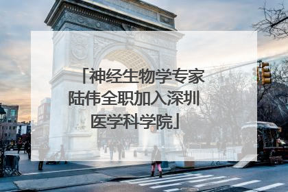 神经生物学专家陆伟全职加入深圳医学科学院