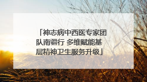 神志病中西医专家团队南疆行 多维赋能基层精神卫生服务升级