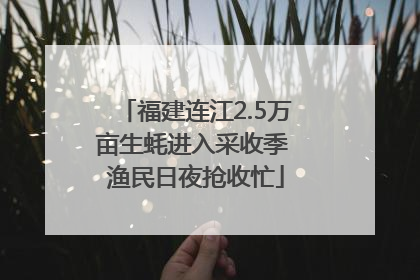 福建连江2.5万亩生蚝进入采收季 渔民日夜抢收忙