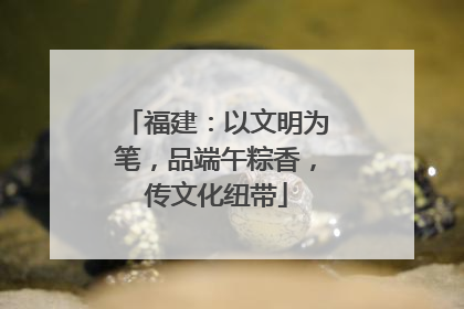 福建：以文明为笔，品端午粽香，传文化纽带