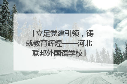 立足党建引领，铸就教育辉煌——河北联邦外国语学校