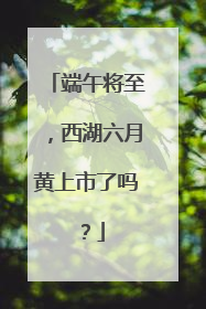 端午将至，西湖六月黄上市了吗？