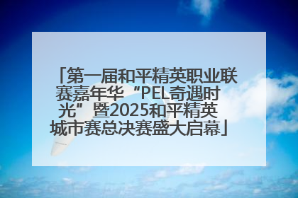 第一届和平精英职业联赛嘉年华“PEL奇遇时光”暨2025和平精英城市赛总决赛盛大启幕