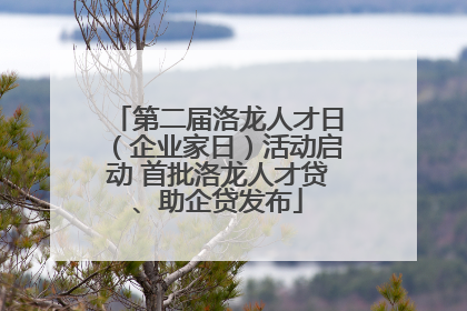 第二届洛龙人才日（企业家日）活动启动 首批洛龙人才贷、助企贷发布