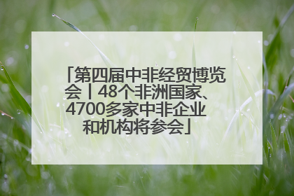 第四届中非经贸博览会丨48个非洲国家、4700多家中非企业和机构将参会
