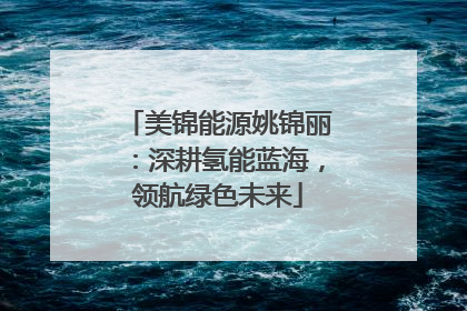 美锦能源姚锦丽：深耕氢能蓝海，领航绿色未来