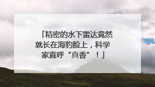 精密的水下雷达竟然就长在海豹脸上，科学家直呼“真香”！