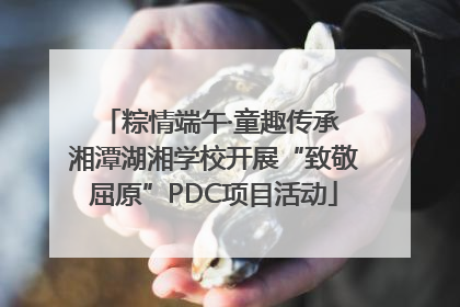粽情端午·童趣传承 湘潭湖湘学校开展“致敬屈原”PDC项目活动