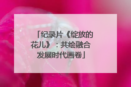 纪录片《绽放的花儿》：共绘融合发展时代画卷