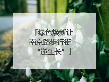 绿色焕新让南京路步行街“逆生长”