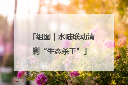 组图｜水陆联动清剿“生态杀手”