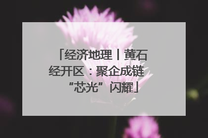 经济地理丨黄石经开区：聚企成链“芯光”闪耀
