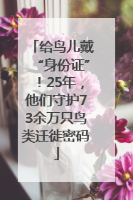 给鸟儿戴“身份证”！25年，他们守护73余万只鸟类迁徙密码