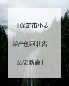 保定市小麦单产创河北省历史新高