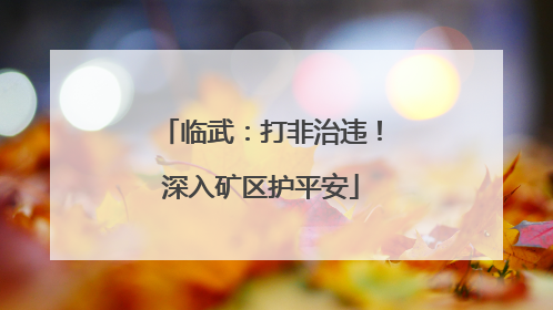 临武：打非治违！深入矿区护平安