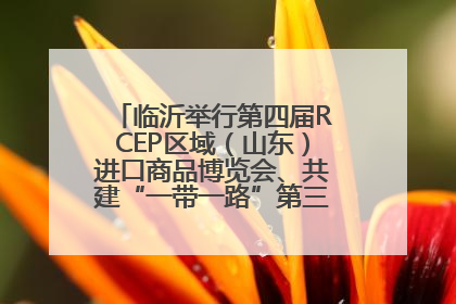 临沂举行第四届RCEP区域（山东）进口商品博览会、共建“一带一路”第三届临沂商城国际采购商大会新闻发布会