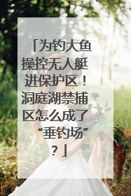 为钓大鱼操控无人艇进保护区！洞庭湖禁捕区怎么成了“垂钓场”？