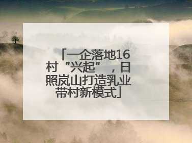 一企落地16村“兴起”，日照岚山打造乳业带村新模式