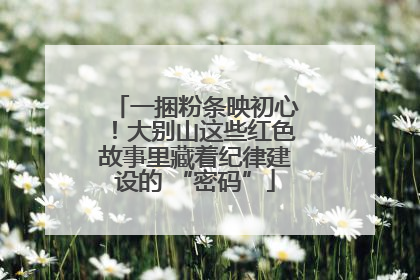一捆粉条映初心！大别山这些红色故事里藏着纪律建设的 “密码”