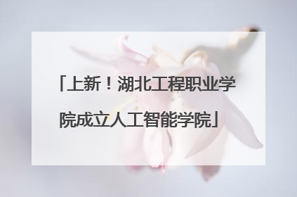 上新！湖北工程职业学院成立人工智能学院