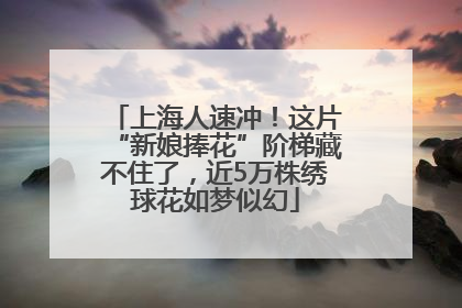 上海人速冲！这片“新娘捧花”阶梯藏不住了，近5万株绣球花如梦似幻