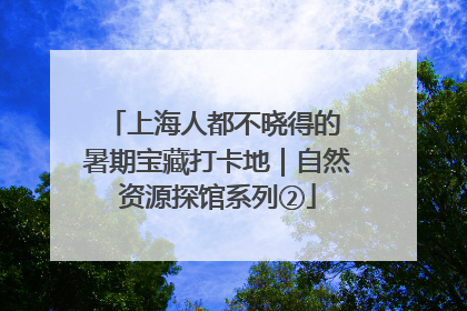 上海人都不晓得的 暑期宝藏打卡地｜自然资源探馆系列②
