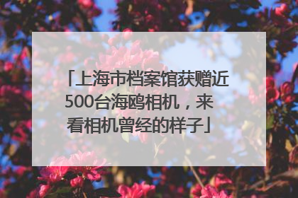 上海市档案馆获赠近500台海鸥相机，来看相机曾经的样子
