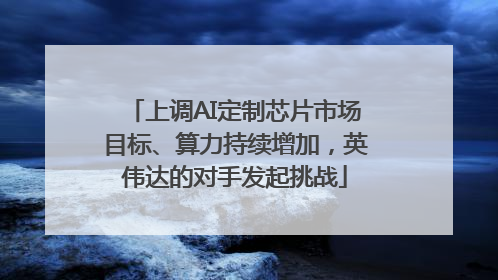 上调AI定制芯片市场目标、算力持续增加，英伟达的对手发起挑战