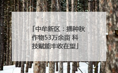 中牟新区：播种秋作物53万余亩 科技赋能丰收在望