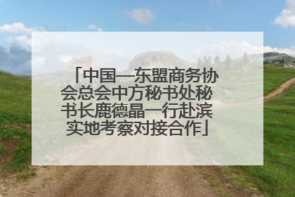 中国—东盟商务协会总会中方秘书处秘书长鹿德晶一行赴滨实地考察对接合作